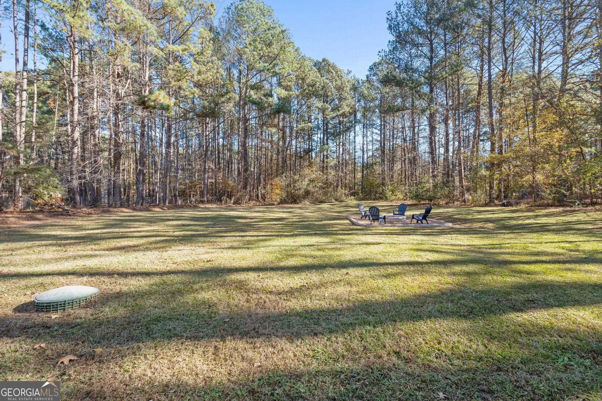 3361 Highway 3 Street North Hampton, GA 30228 - Photo 25 of 29