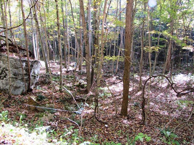 Laurel Creek Road Wayside, WV 24985 - Photo 25 of 28 Gallery Image 25
