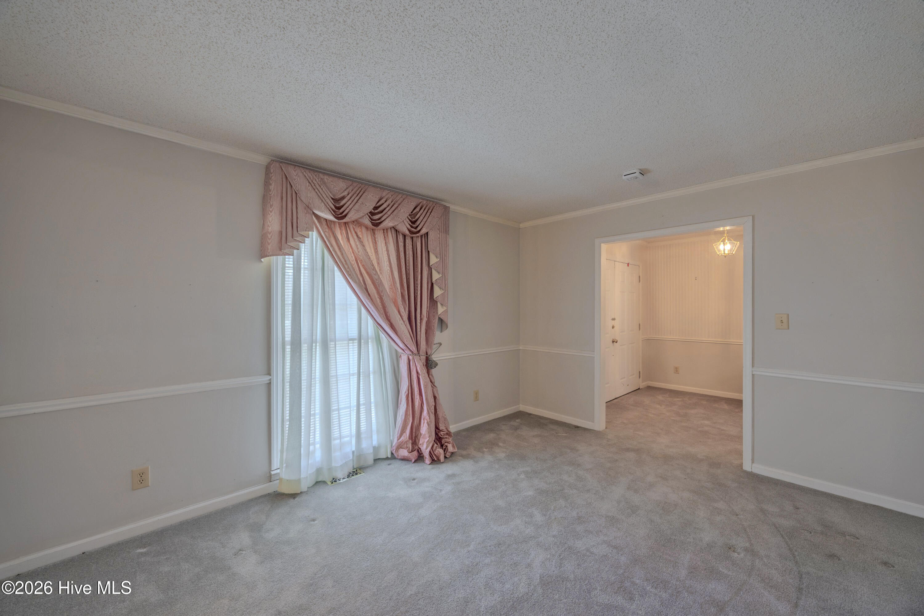 1210 North Williams Road Pink Hill, NC 28572 - Photo 15 of 54 _K6A0062-HDR (Custom)