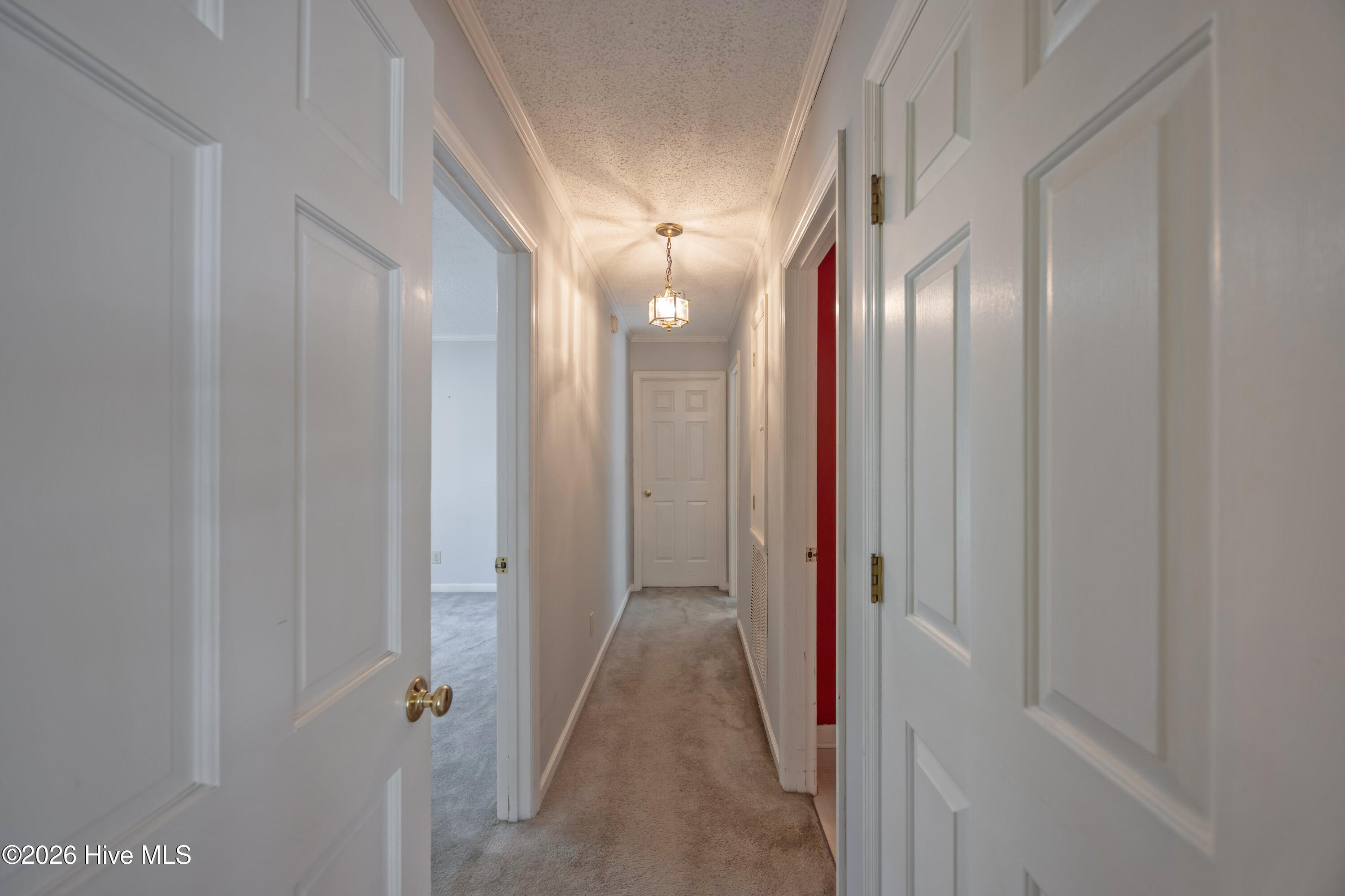 1210 North Williams Road Pink Hill, NC 28572 - Photo 20 of 54 _K6A0184 (Custom)