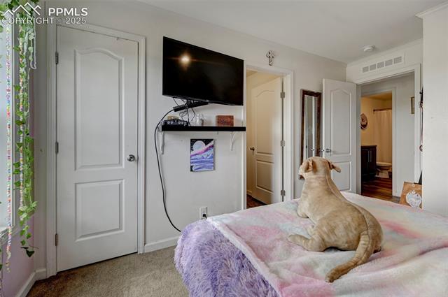 961 Buffalo Run Road Calhan, CO 80808 - Photo 24 of 45 Bedroom with carpet flooring
