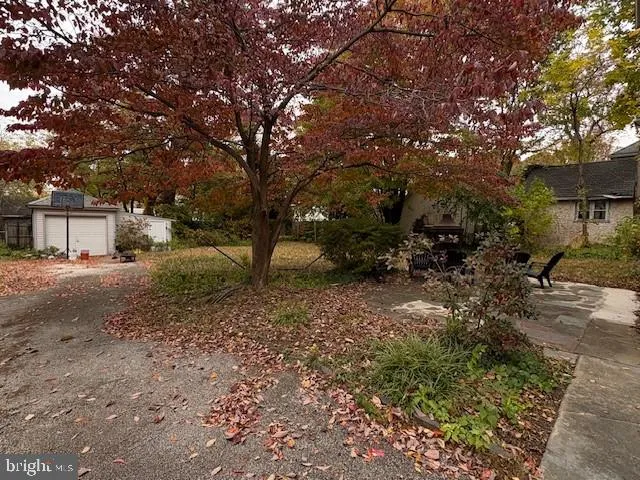 a view of a yard with plants and trees