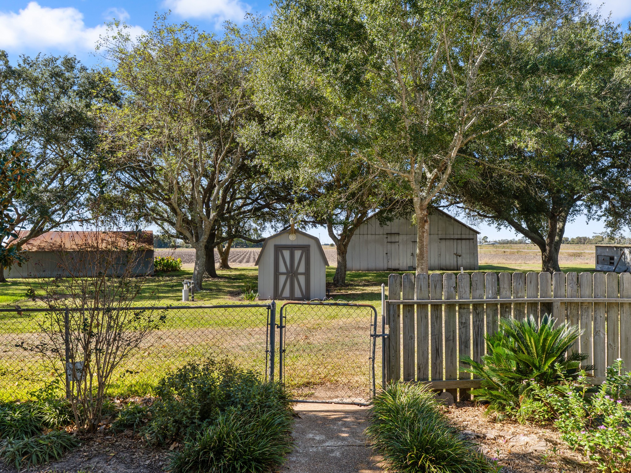 14309 Vrlla Road Guy, TX 77444 - Photo 16 of 41 a view of a garden with a tree