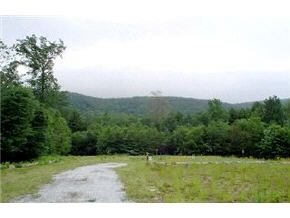 1833 Hartsboro Road Wallingford, VT 05773 - Photo 3 of 5 Gallery Image 3