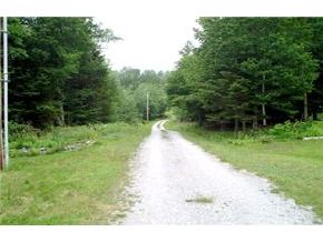 1833 Hartsboro Road Wallingford, VT 05773 - Photo 5 of 5 Gallery Image 5