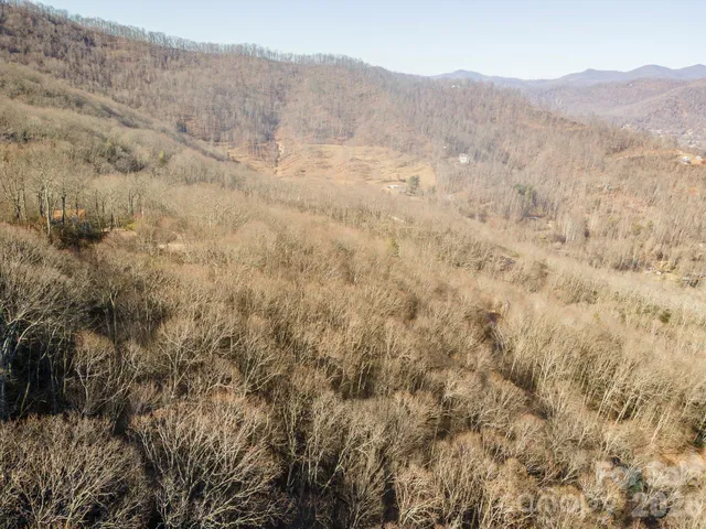 a view of a dry yard with trees