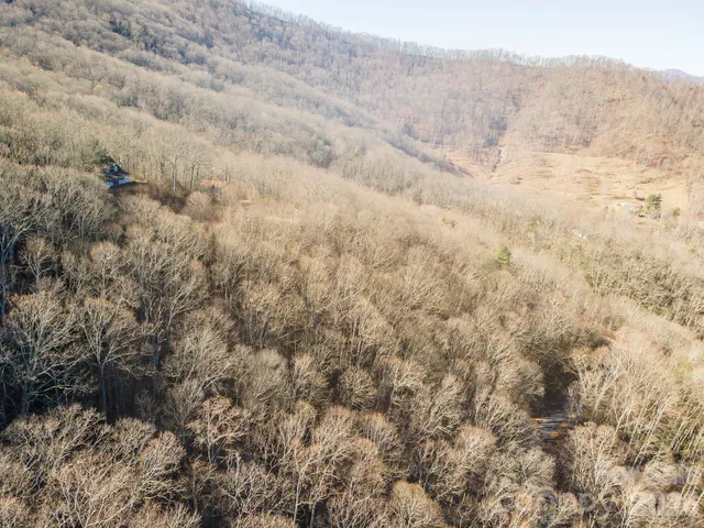 a view of a dry yard