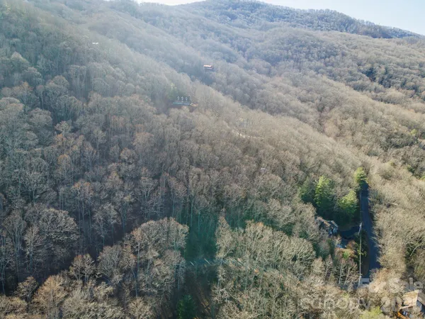 a view of a forest with trees