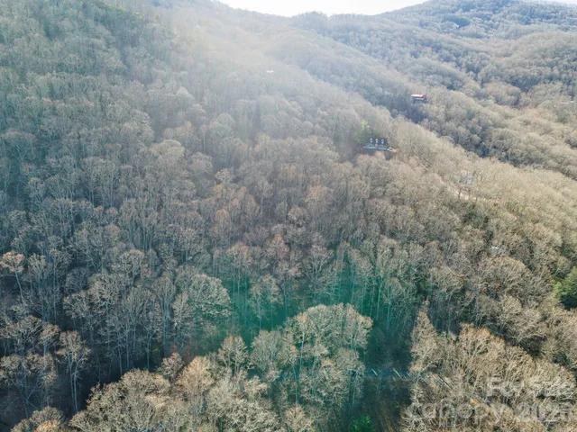 a view of a forest with lots of trees