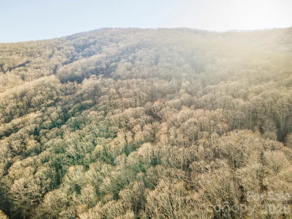 a view of mountain with trees
