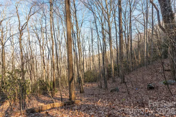 $28,900 | 0 Wildflower Cove Drive, Unit 18, Swannanoa, NC 28778