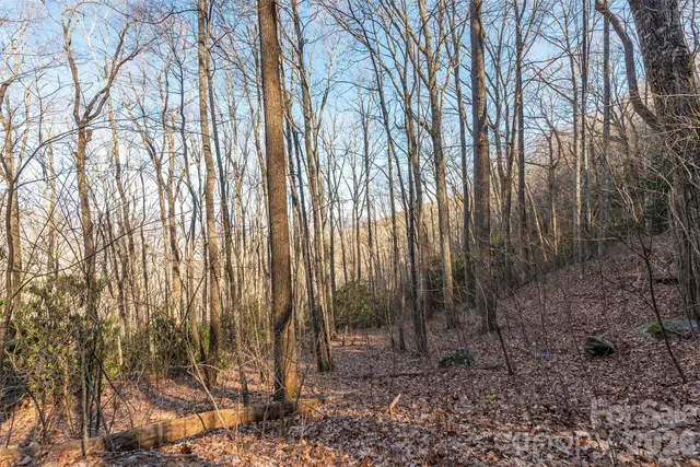 $28,900 | 0 Wildflower Cove Drive, Unit 18, Swannanoa, NC 28778