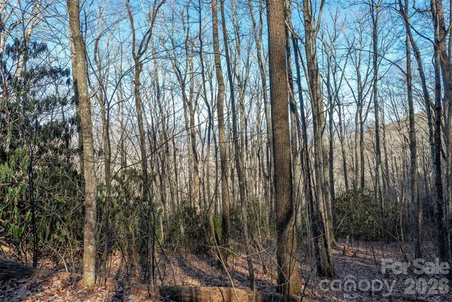 $28,900 | 0 Wildflower Cove Drive, Unit 18, Swannanoa, NC 28778