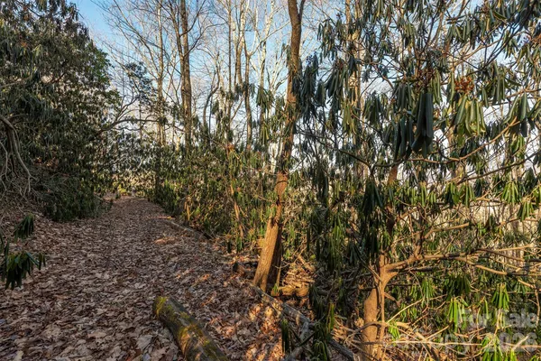 $28,900 | 0 Wildflower Cove Drive, Unit 18, Swannanoa, NC 28778