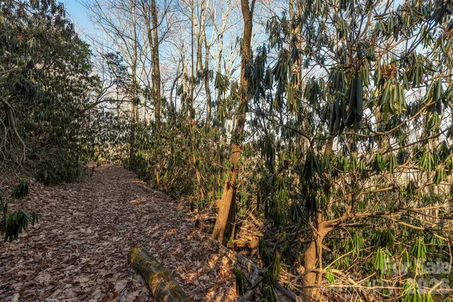 $28,900 | 0 Wildflower Cove Drive, Unit 18, Swannanoa, NC 28778