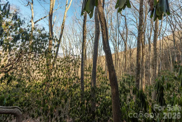 $28,900 | 0 Wildflower Cove Drive, Unit 18, Swannanoa, NC 28778