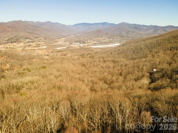 a view of mountain and tree