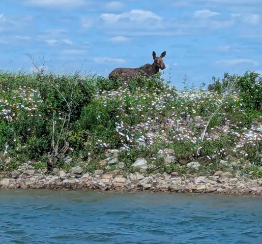 $129,900 | 15 East Mile Road, Dafter, MI 49724