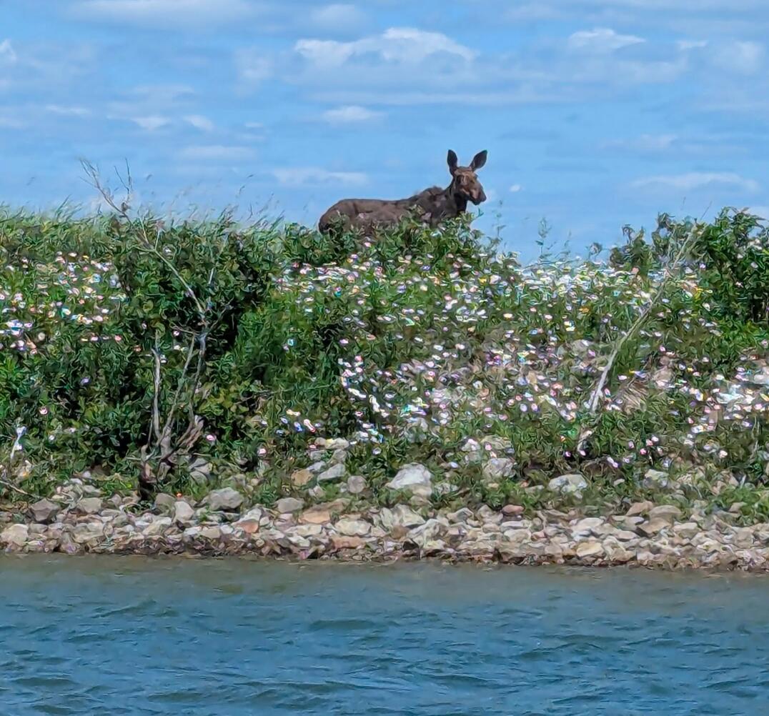 15 East Mile Road Dafter, MI 49724 - Photo 14 of 15 Screen Shot 2025-07-24 at 4.34.14 PM