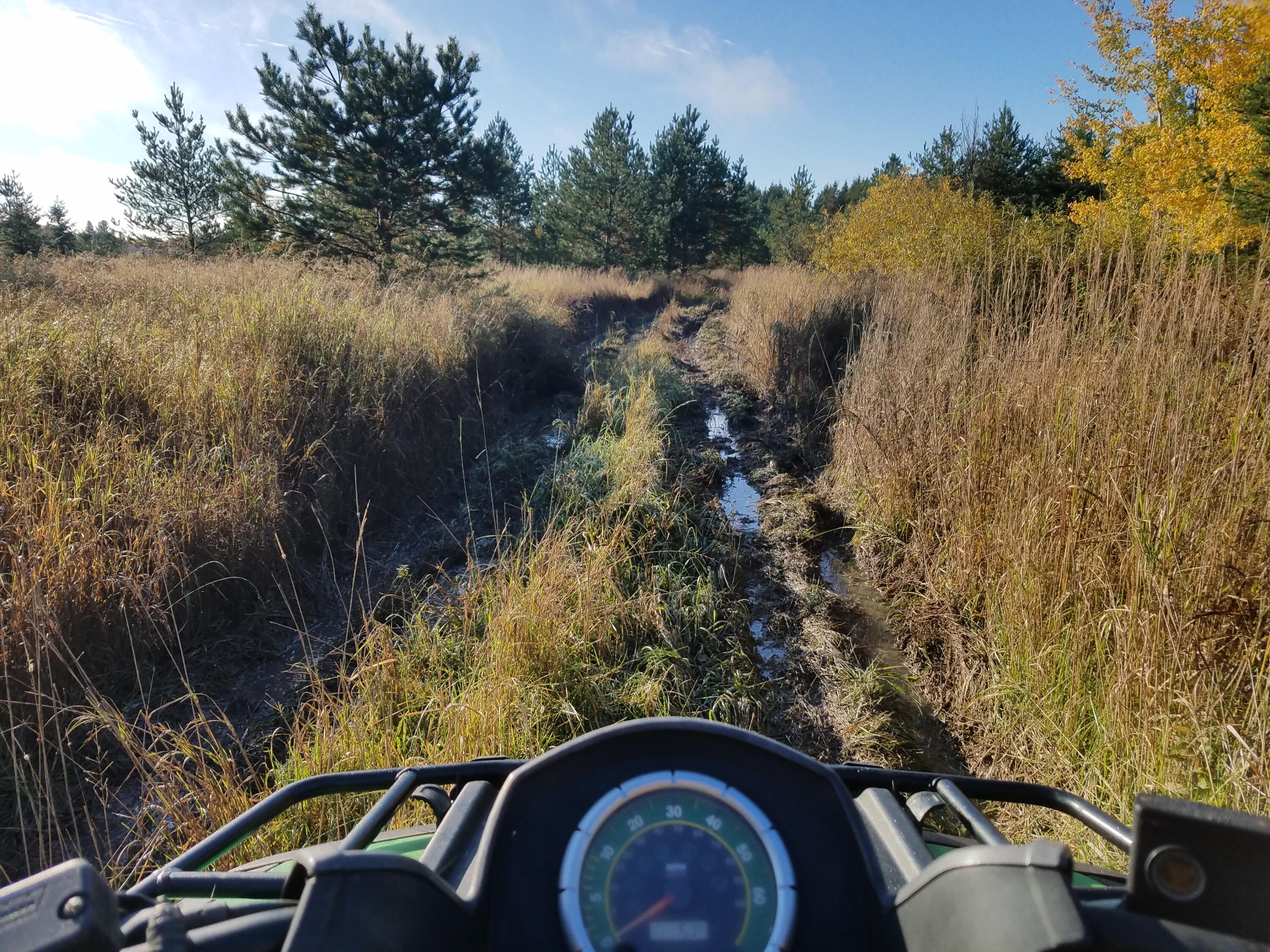 15 East Mile Road Dafter, MI 49724 - Photo 4 of 15 20161019_100207