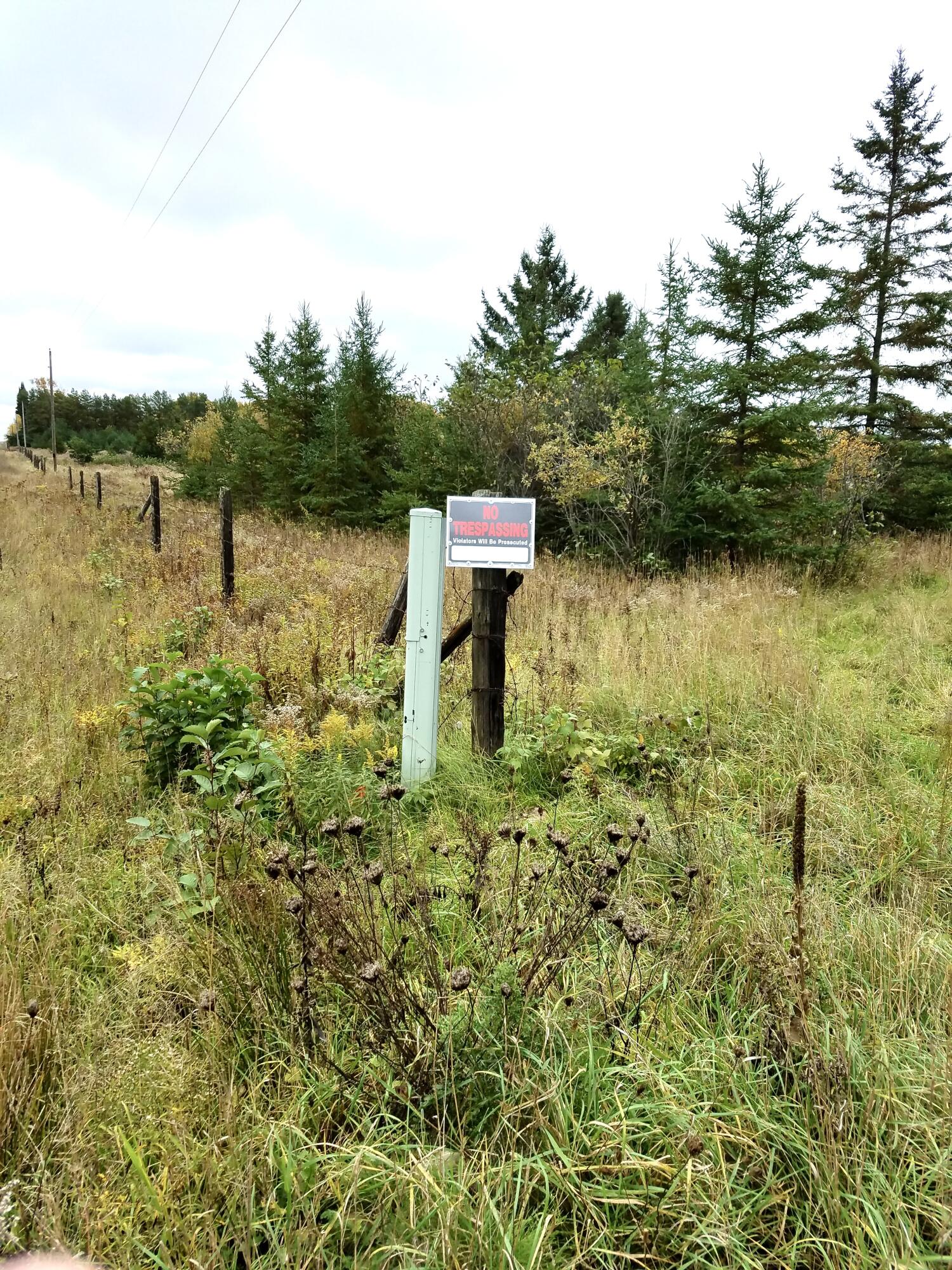 15 East Mile Road Dafter, MI 49724 - Photo 5 of 15 20161018_144002