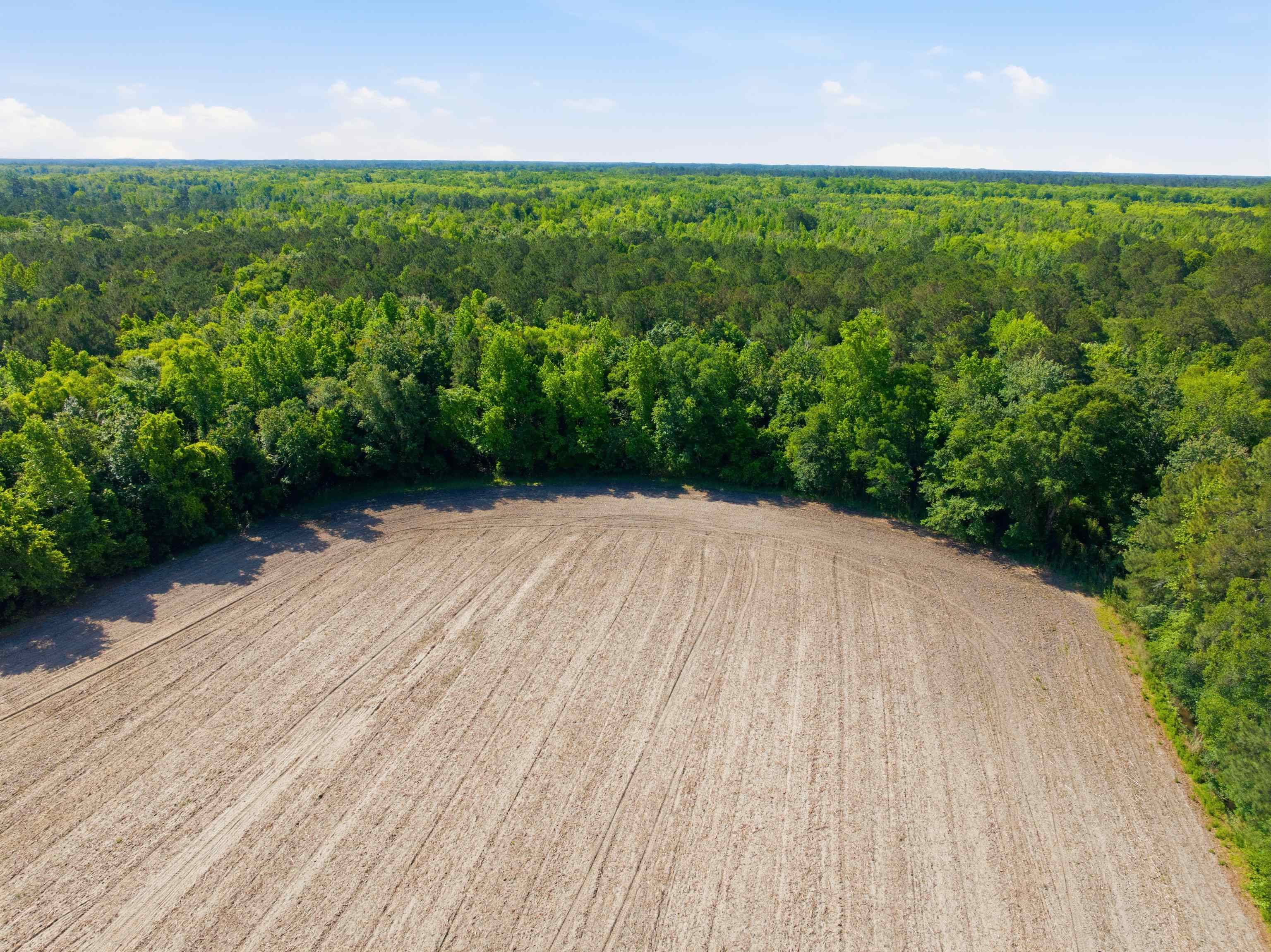 9475 Lake Swamp Road Nichols, SC 29581 - Photo 22 of 36