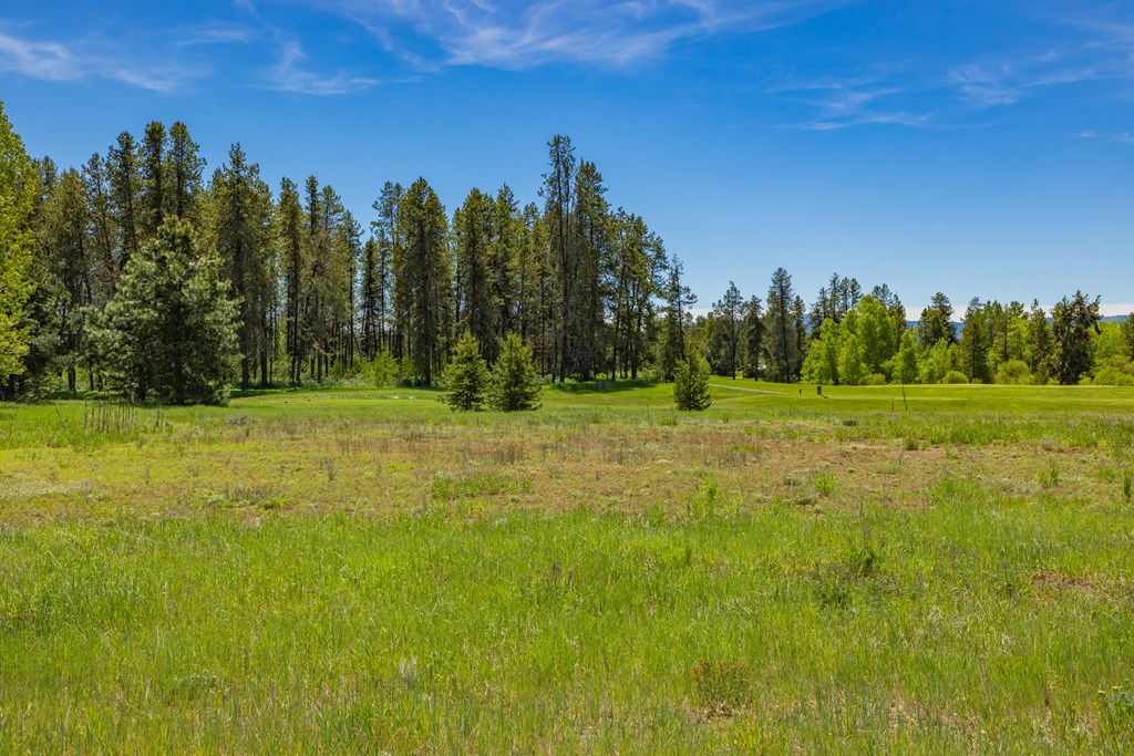 249 West Jug Road, Unit 32 McCall, ID 83638 - Photo 13 of 55