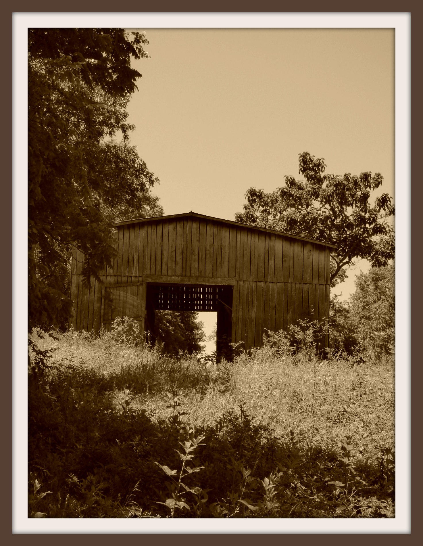 37 Nances Ferry Road New Market, TN 37820 - Photo 14 of 14 Gallery Image 14