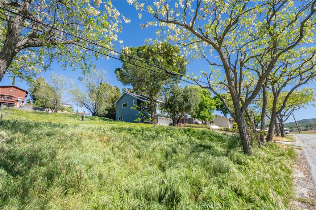 42640 Ranch Club Road Lake Hughes, CA 93532 - Photo 20 of 27 a backyard of a house with lots of green space