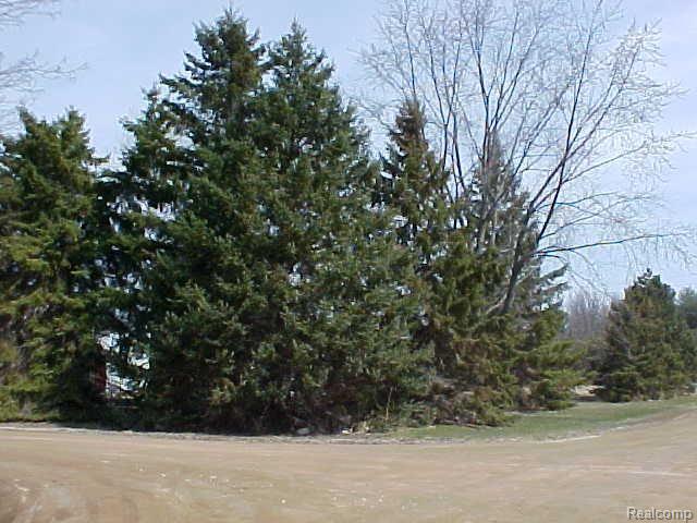8990 West Sargent Road Fowlerville, MI 48836 - Photo 16 of 20 Sargent Backyard.jpg