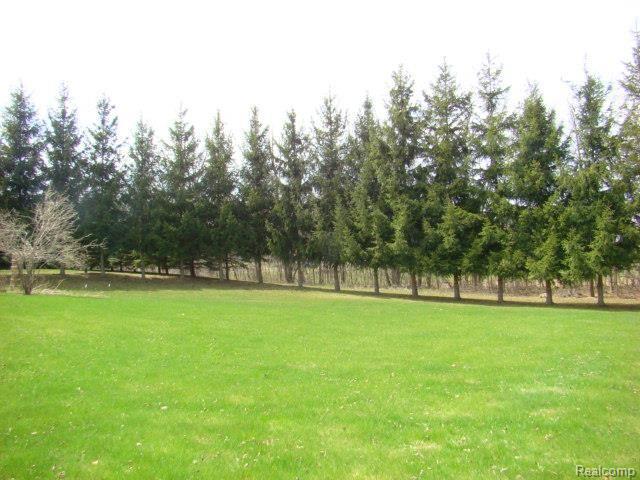 6900 Martin Road Imlay City, MI 48444 - Photo 28 of 46