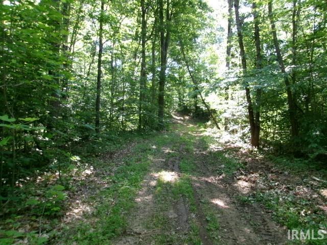 North Ferry Road Bloomfield, IN 47424 - Photo 3 of 13