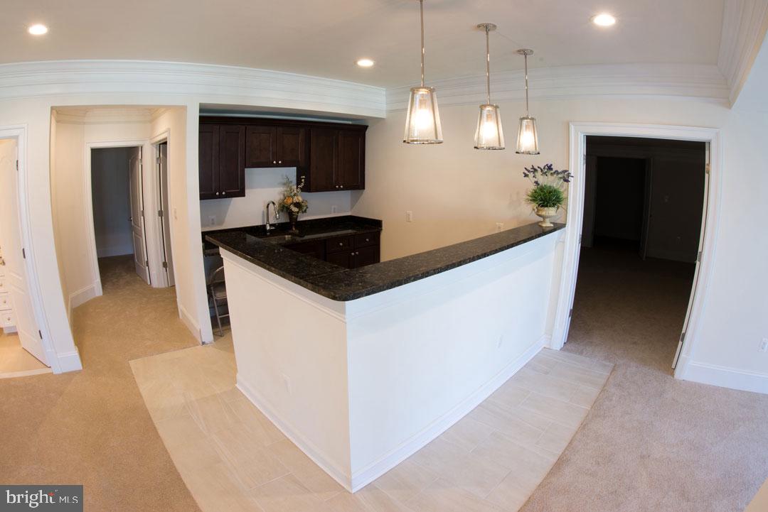3443 Gallows Road Falls Church, VA 22042 - Photo 41 of 49 Basement Wet Bar