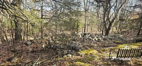 $350,000 | County Road, Redgranite, WI 54970