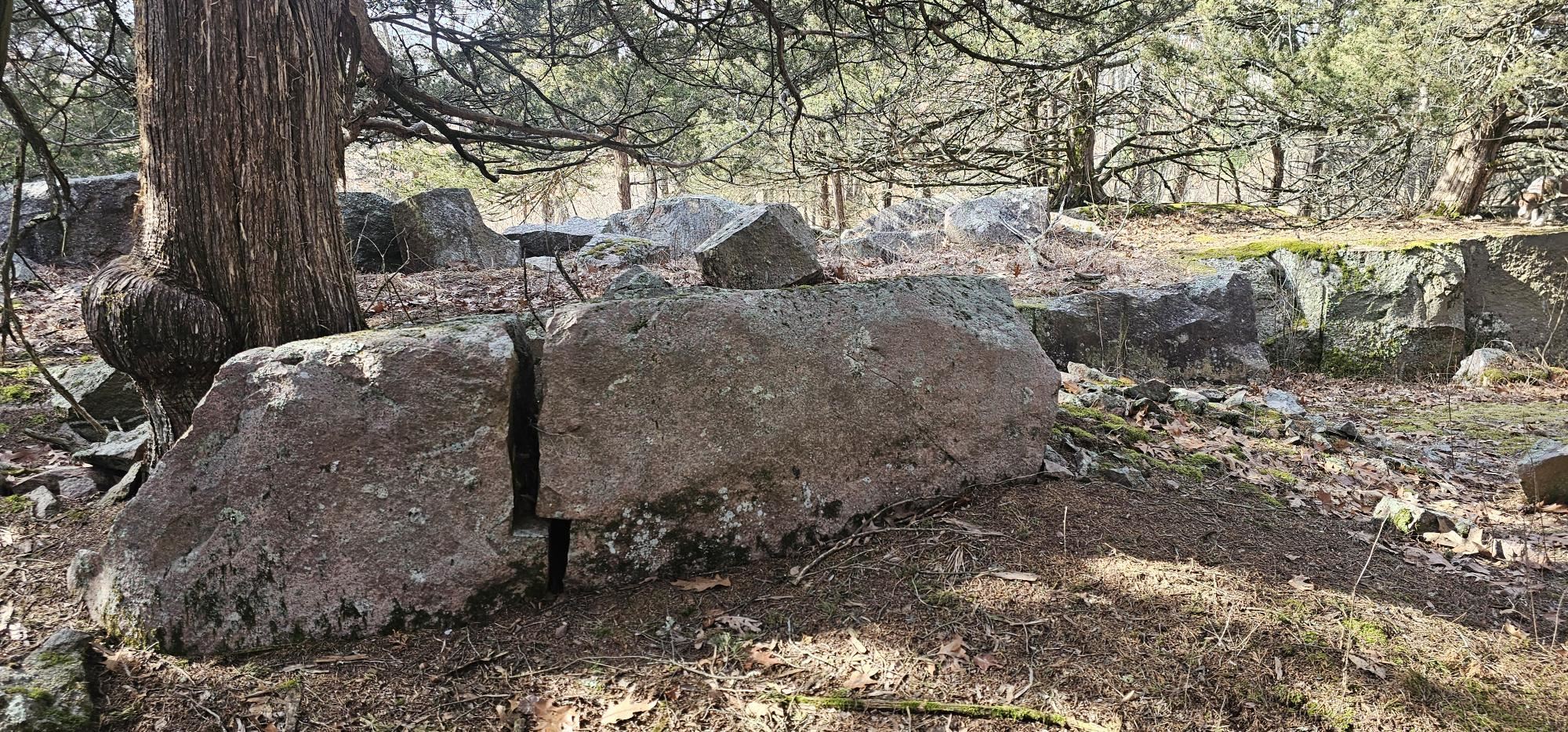 County Road Redgranite, WI 54970 - Photo 11 of 13