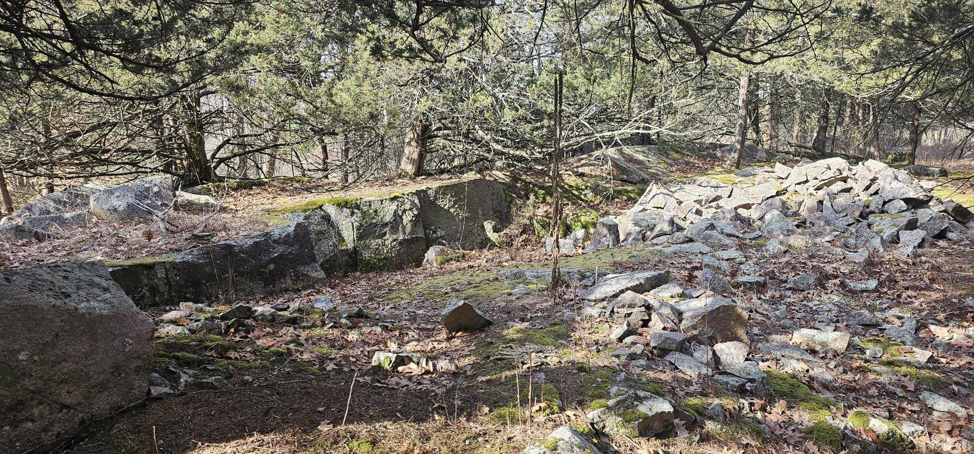 County Road Redgranite, WI 54970 - Photo 12 of 13