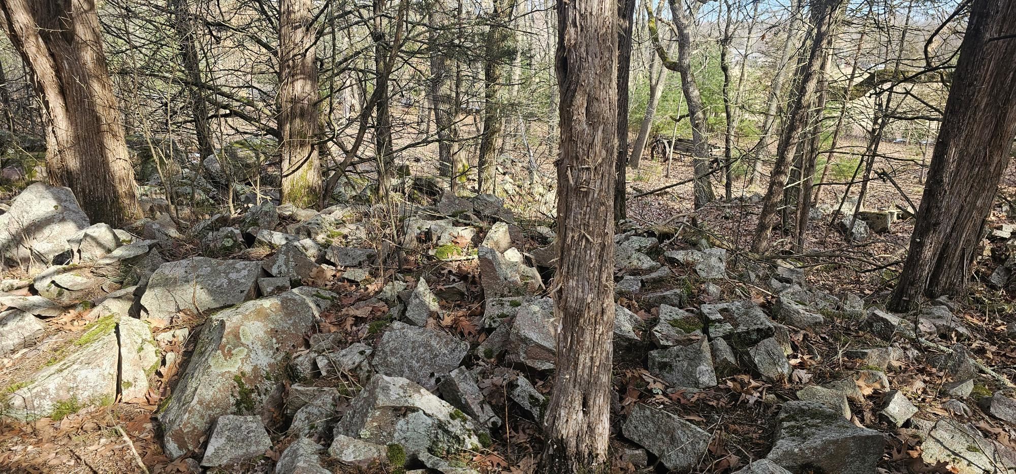 County Road Redgranite, WI 54970 - Photo 13 of 13