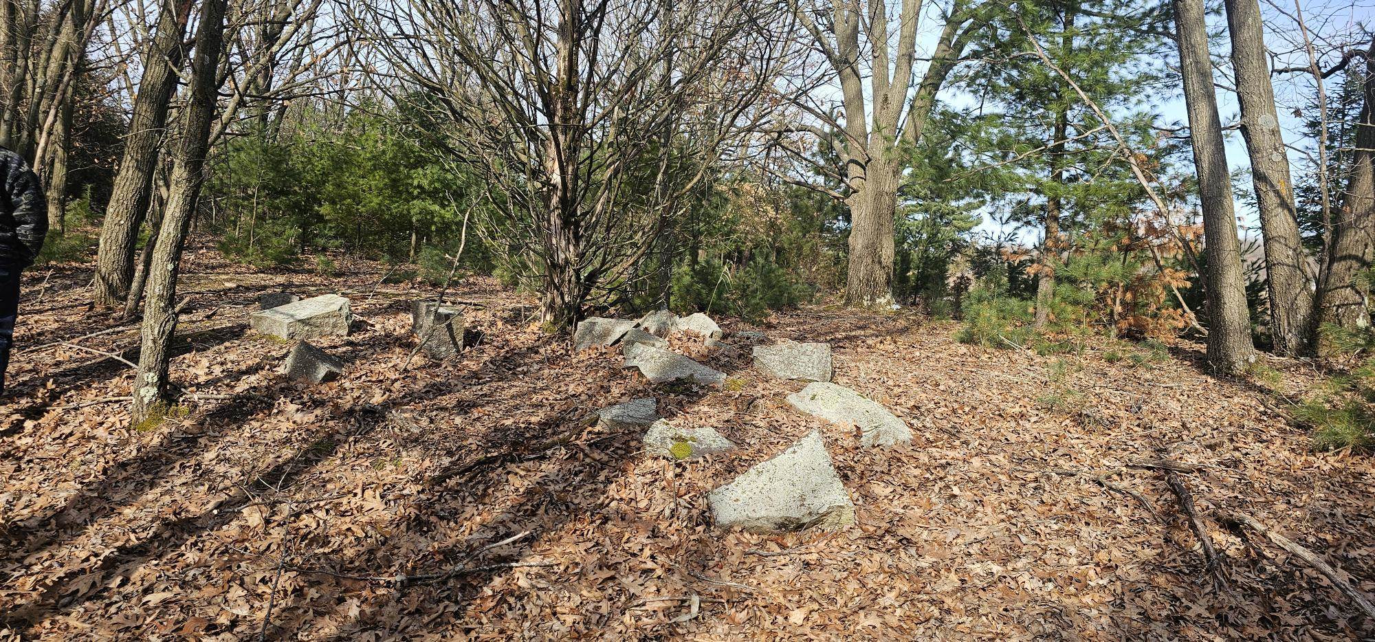 County Road Redgranite, WI 54970 - Photo 2 of 13