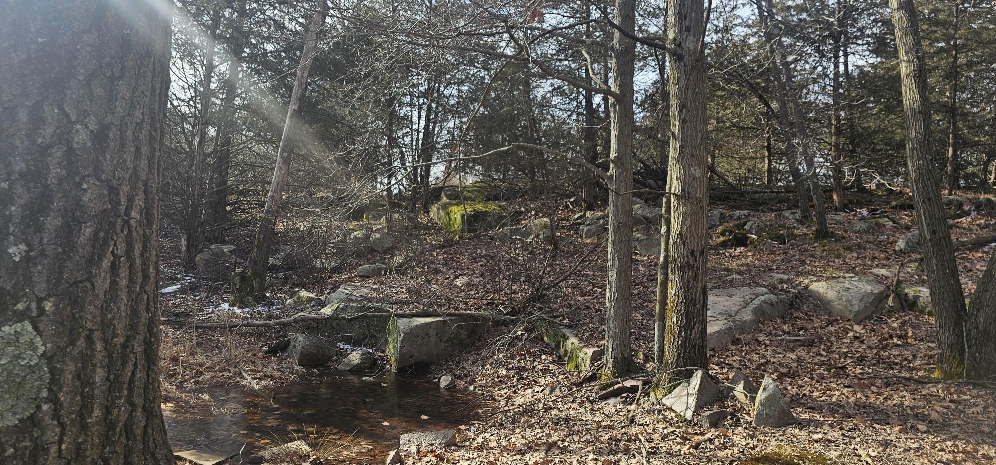 County Road Redgranite, WI 54970 - Photo 3 of 13