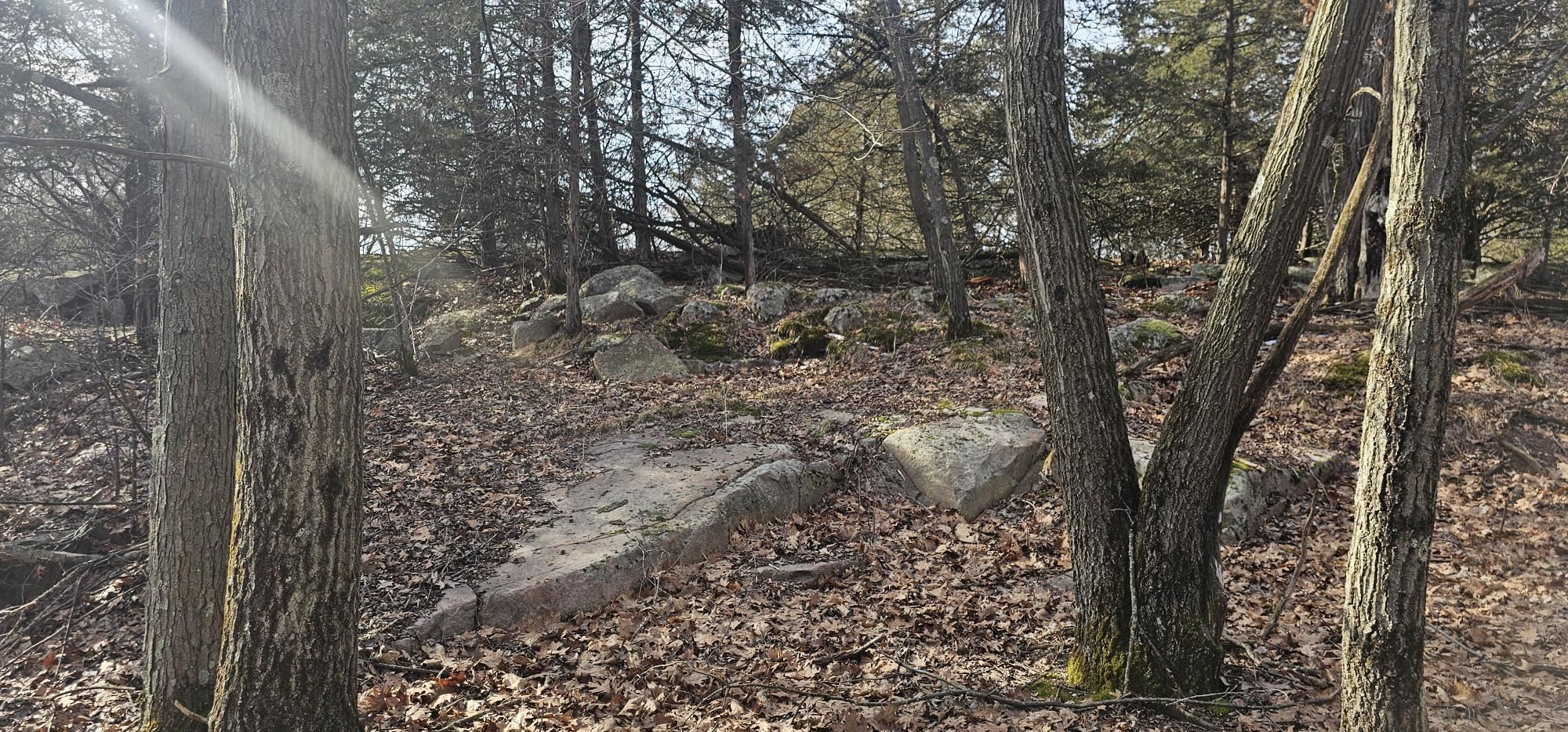 County Road Redgranite, WI 54970 - Photo 4 of 13