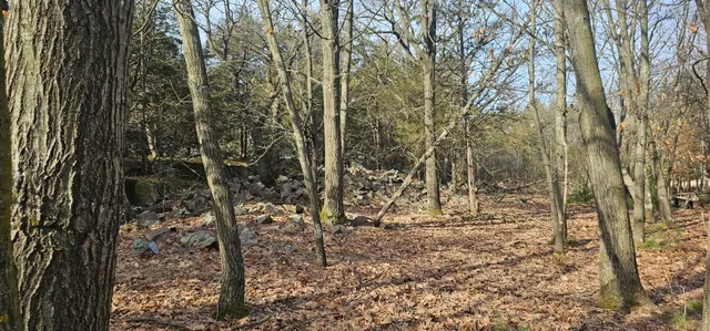 $350,000 | County Road, Redgranite, WI 54970