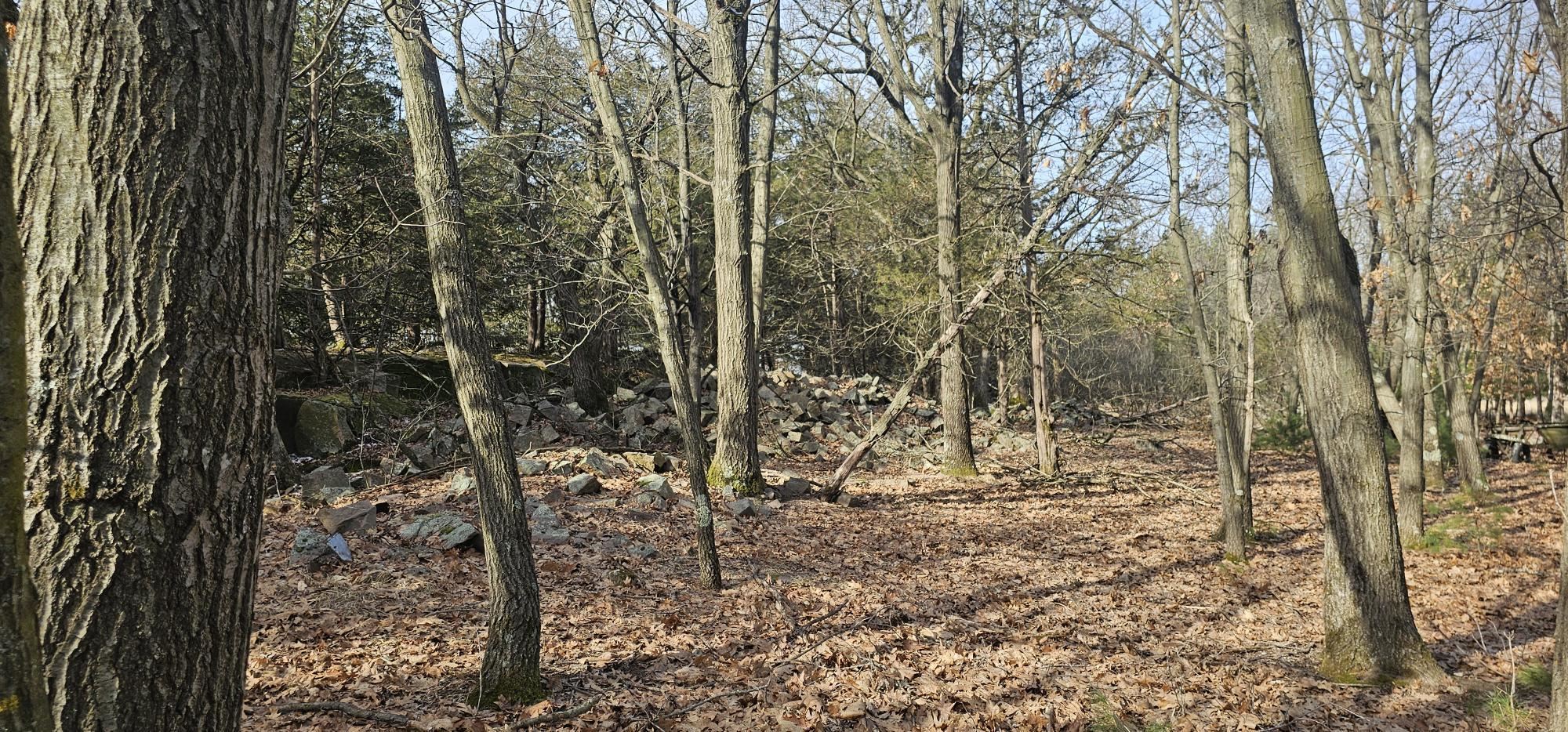 County Road Redgranite, WI 54970 - Photo 5 of 13