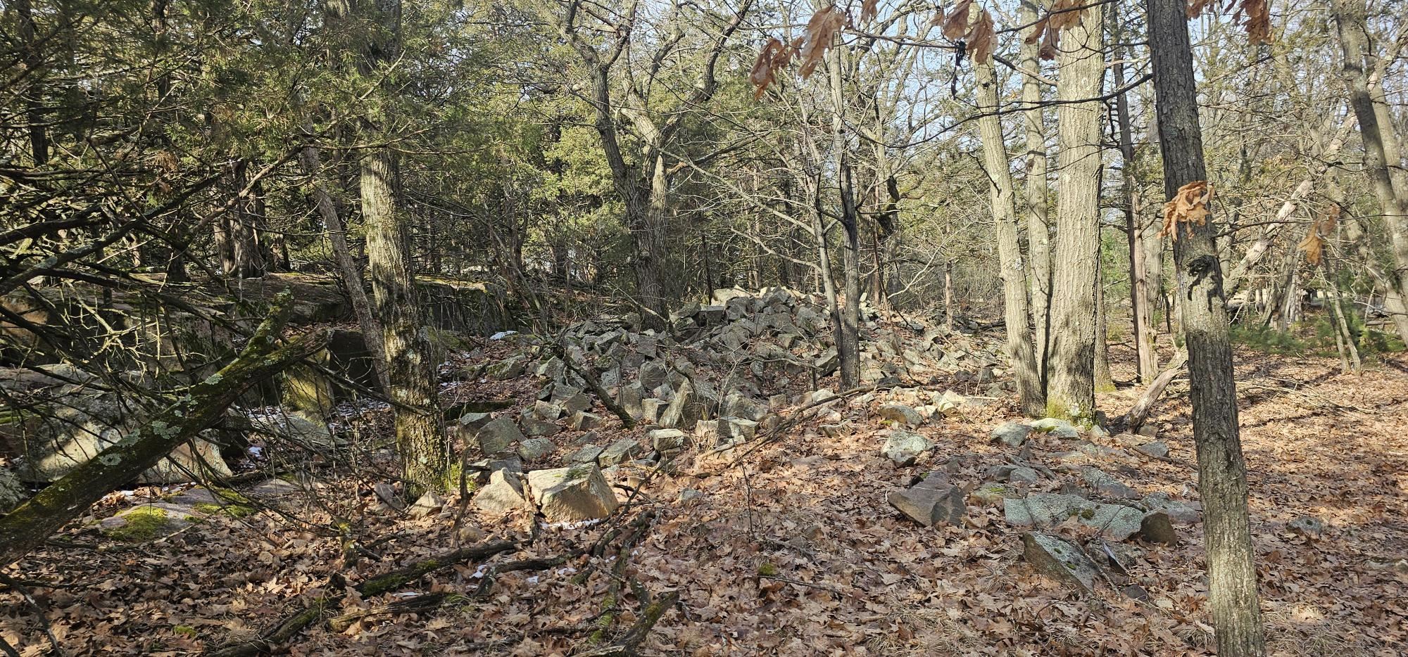 County Road Redgranite, WI 54970 - Photo 6 of 13