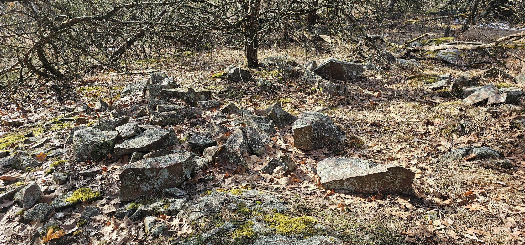 County Road Redgranite, WI 54970 - Photo 7 of 13