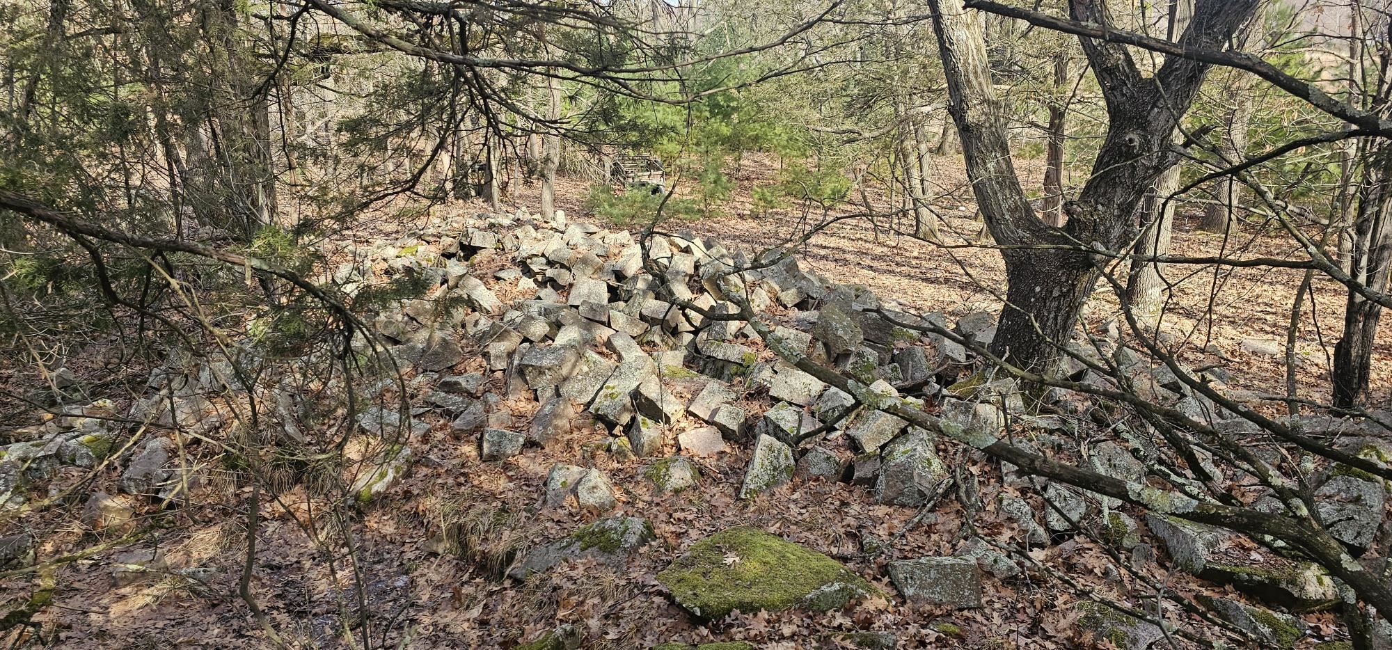 County Road Redgranite, WI 54970 - Photo 8 of 13