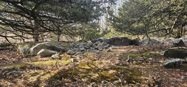 $350,000 | County Road, Redgranite, WI 54970