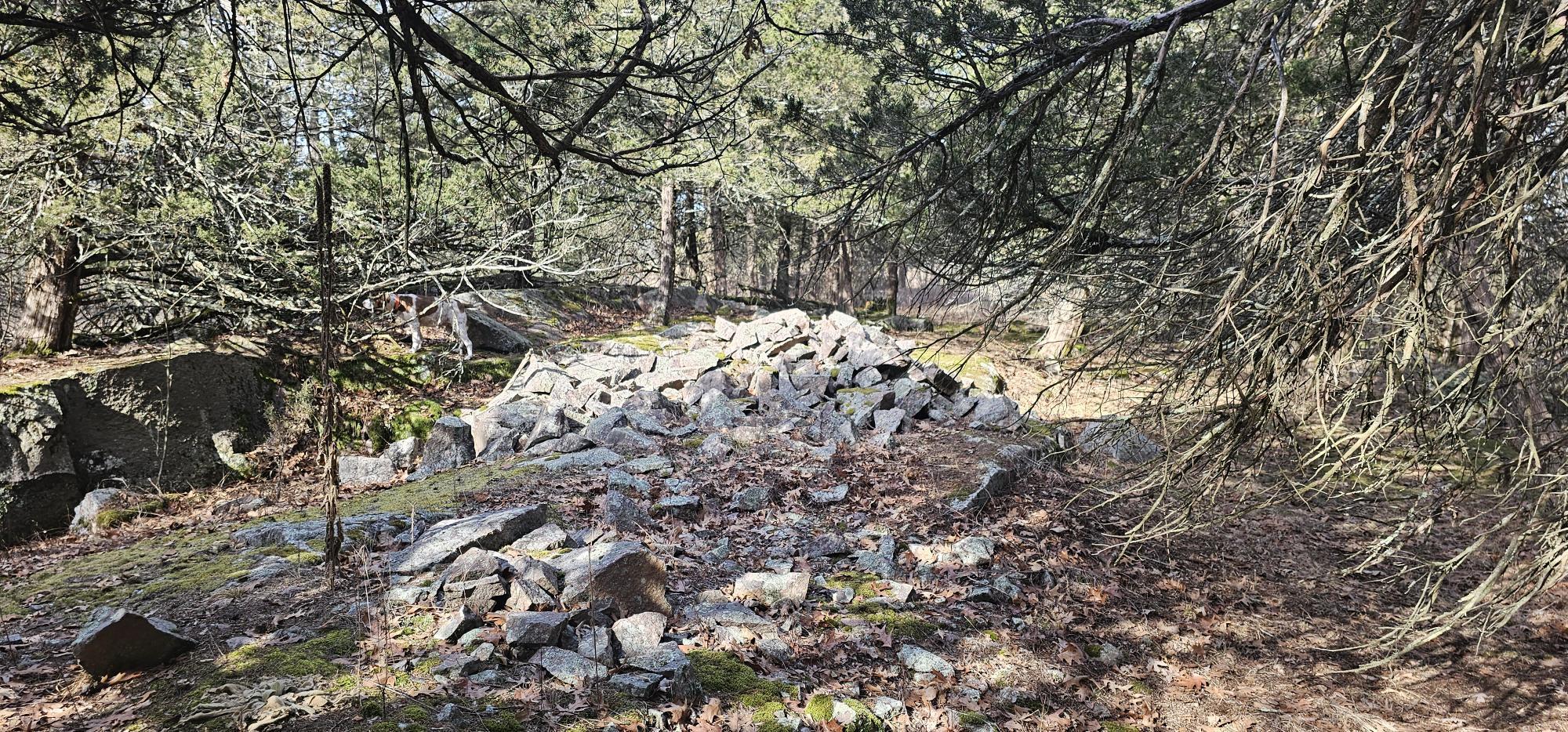 County Road Redgranite, WI 54970 - Photo 10 of 13