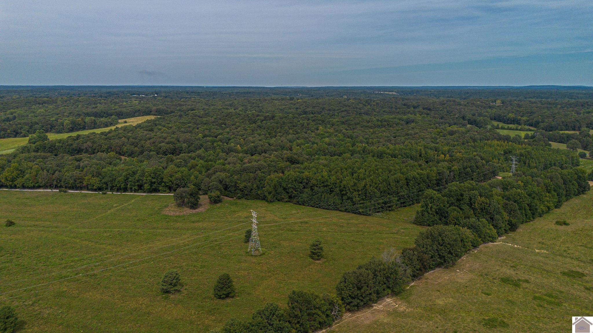 0 Corinth Church Road Grand Rivers, KY 42045 - Photo 13 of 49 Photo 13