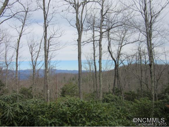 329 Walnut Ridge Road, Unit 276 Brevard, NC 28712 - Photo 8 of 8 Gallery Image 8