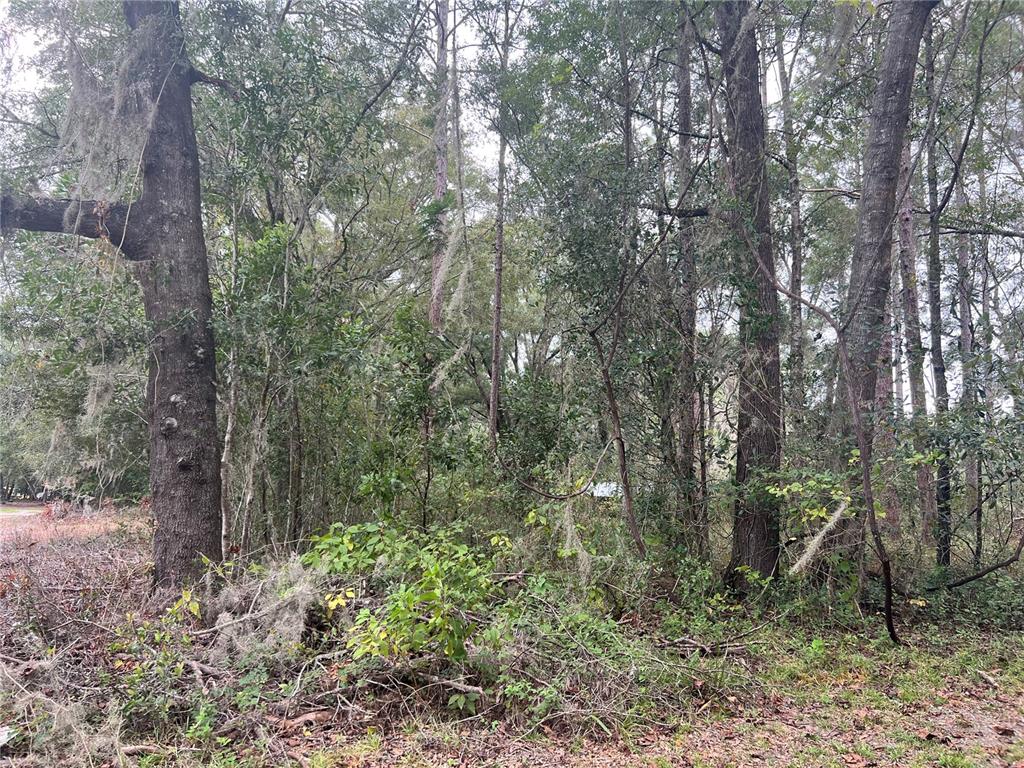 0 Northwest 187th Road High Springs, FL 32643 - Photo 3 of 5